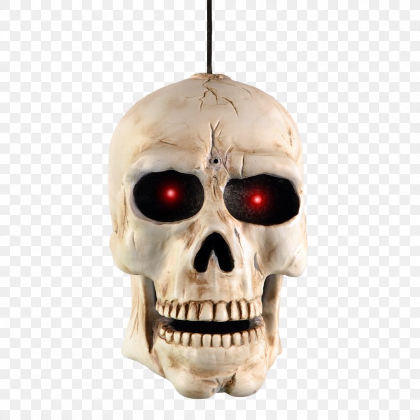 Skull Human Skeleton Death Head, PNG, 1000x1000px, Skull, Bone, Cat, Coffin, Death Download Free