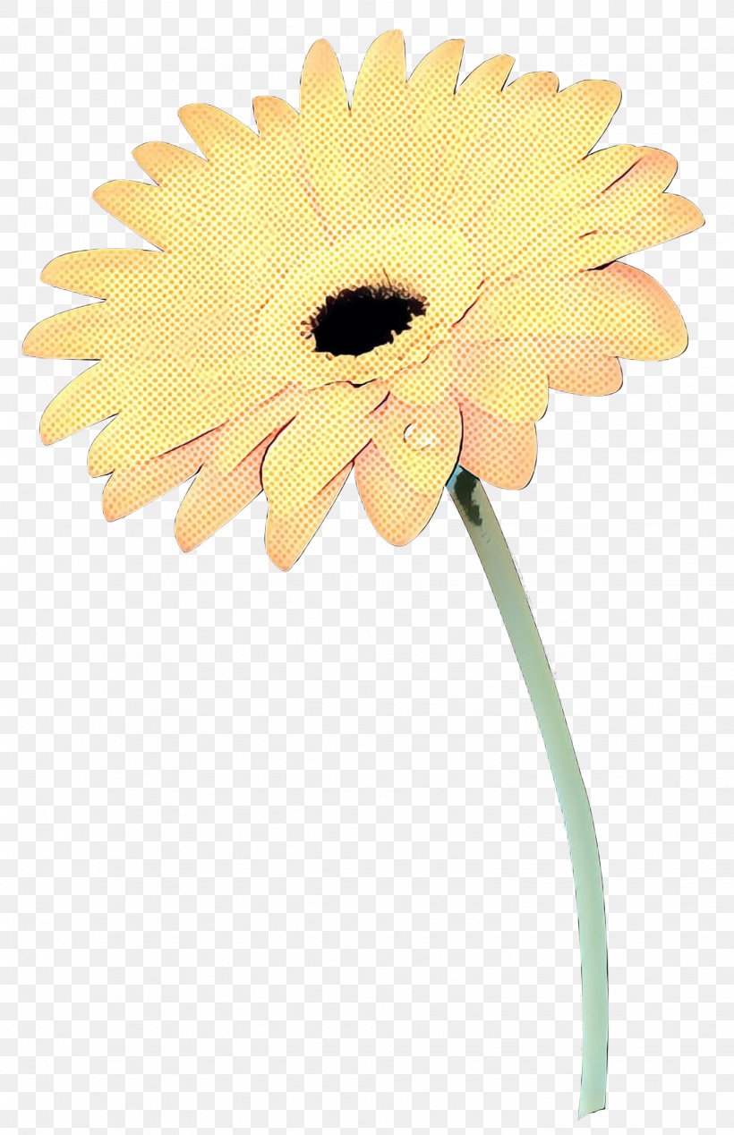 Transvaal Daisy Oxeye Daisy Cut Flowers Petal Plant Stem, PNG, 1939x3000px, Transvaal Daisy, Artificial Flower, Asterales, Barberton Daisy, Cut Flowers Download Free