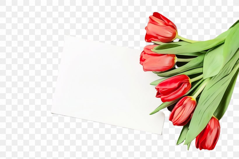 Tulip Flower Red Plant Flowering Plant, PNG, 2448x1632px, Watercolor, Anthurium, Cut Flowers, Flower, Flowering Plant Download Free