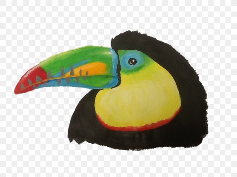 Bird Toucan Piciformes Beak Fauna, PNG, 960x720px, Bird, Beak, Fauna, Piciformes, Toucan Download Free