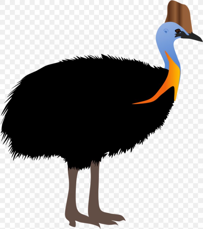 Common Ostrich Bird Southern Cassowary Weltvogelpark Walsrode Northern Cassowary, PNG, 841x949px, Common Ostrich, Animal, Beak, Bird, Cassowary Download Free