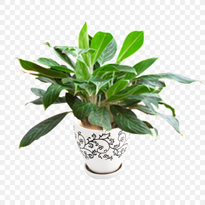 Flowerpot Streamline Plant Pot Skull Garden Design POT CERAMIC, PNG, 1024x1024px, Flowerpot, Bonsai, Cactus, Crock, Evergreen Download Free