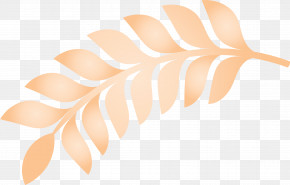 Wheat Ears PNG