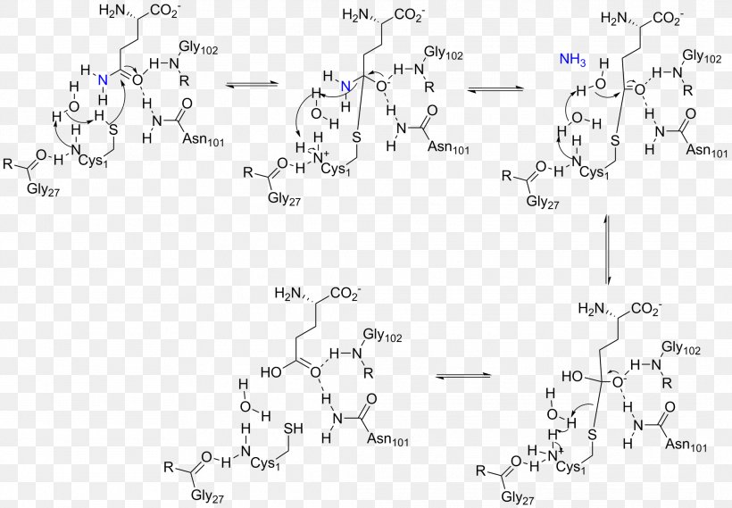 Amidophosphoribosyltransferase Glutamine Amidotransferase Glutaminase Phosphoribosyl Pyrophosphate Enzyme, PNG, 2127x1477px, Amidophosphoribosyltransferase, Active Site, Ammonia, Area, Auto Part Download Free