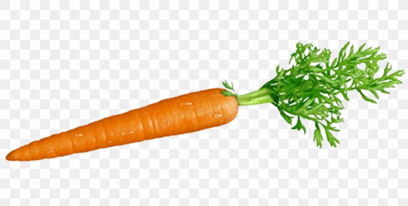 Carrot And Stick Root Vegetables Ingredient, PNG, 3099x1569px, Watercolor, Cartoon, Flower, Frame, Heart Download Free