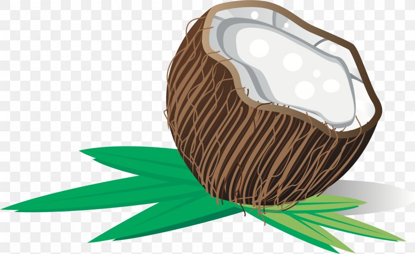 Coconut Water Coconut Milk, PNG, 2355x1447px, Coconut Water, Animation, Arecaceae, Coconut, Coconut Milk Download Free