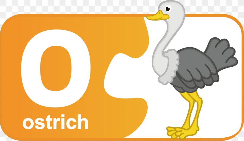English Alphabet Letter O, PNG, 1185x685px, English Alphabet, Alphabet, Beak, Bird, Brand Download Free
