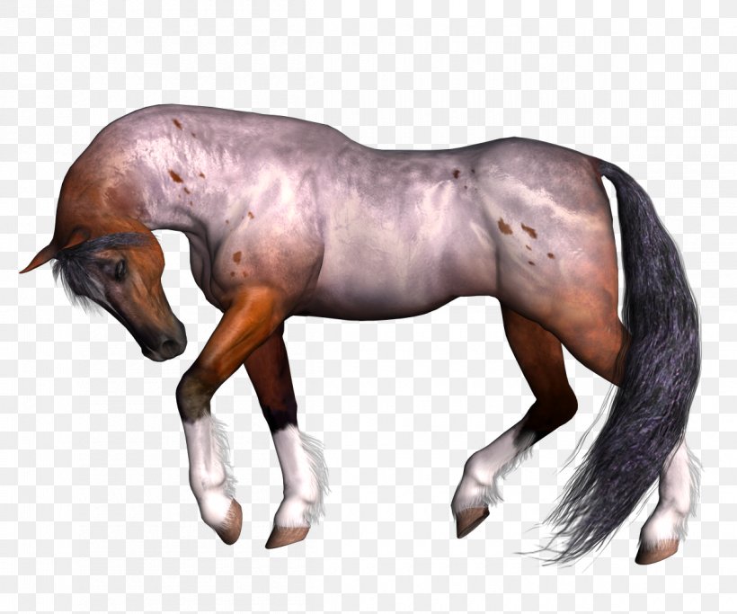 Horse Stallion Pony, PNG, 1200x1000px, Horse, Animation, Cartoon, Colt, Drawing Download Free