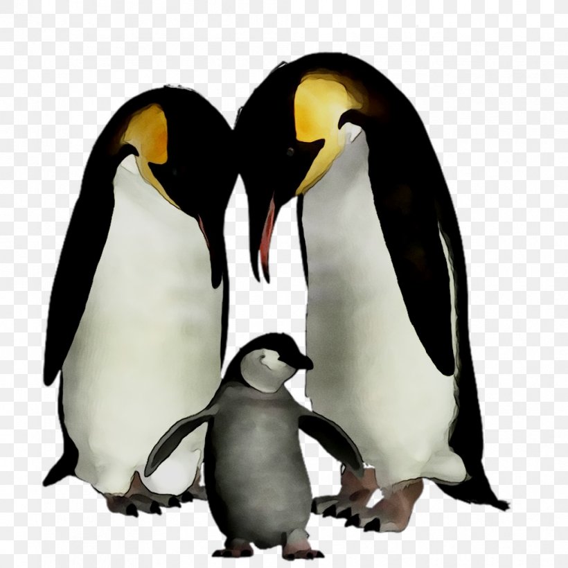 King Penguin Beak, PNG, 1008x1008px, King Penguin, Animal Figure, Beak, Bird, Emperor Penguin Download Free