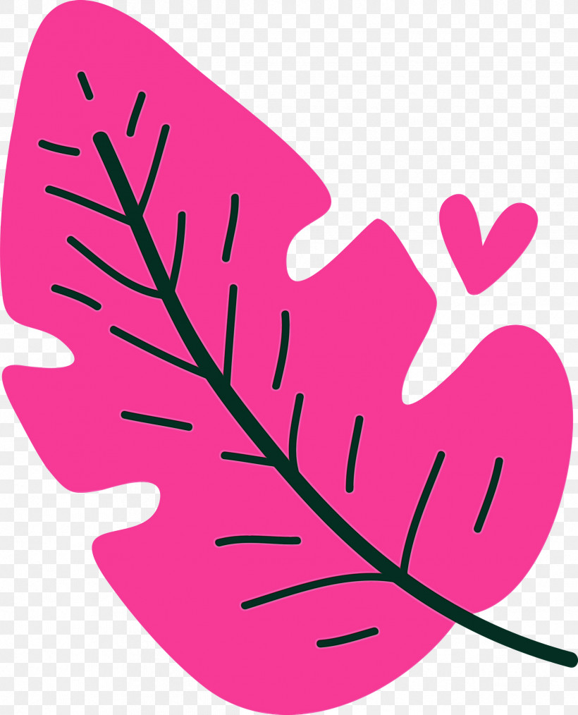 Petal Pink M Line Area H&m, PNG, 2426x3000px, Leaf Cartoon, Area, Hm, Leaf Abstract, Leaf Clipart Download Free