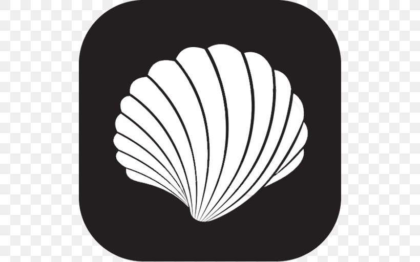 Seashell Scallop Clip Art, PNG, 512x512px, Seashell, Beach, Black And White, Cartoon, Drawing Download Free