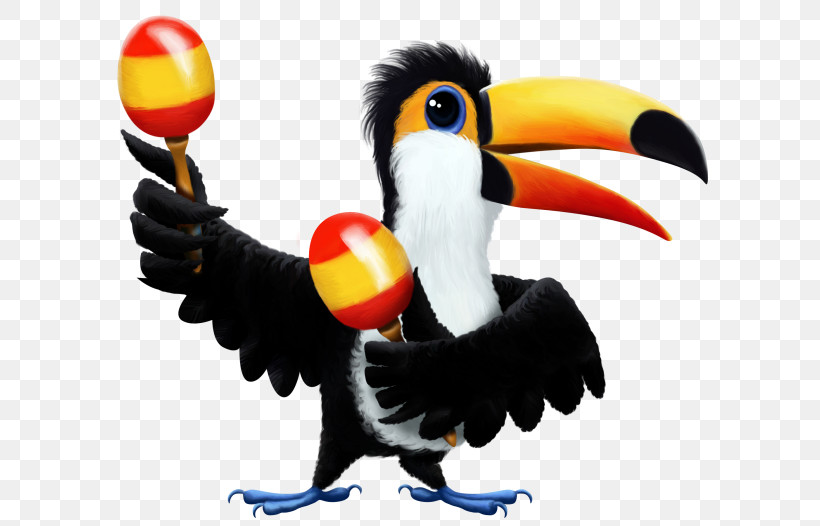 Bird Toucan Beak Hornbill Piciformes, PNG, 625x526px, Bird, Beak, Flightless Bird, Hornbill, Piciformes Download Free
