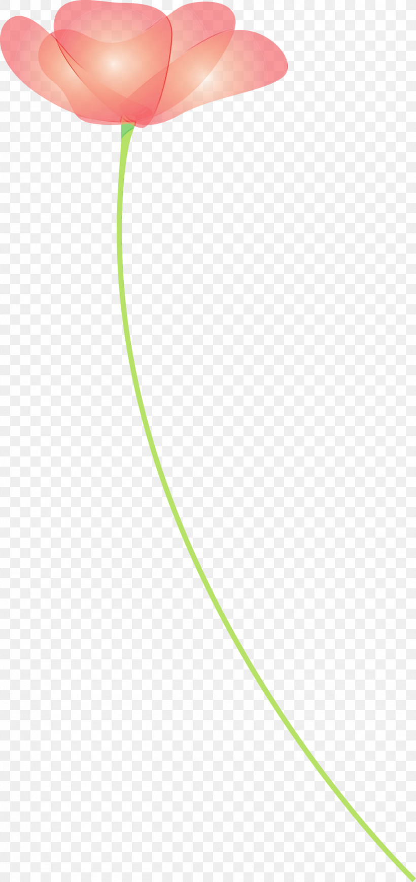 Green Line Circle, PNG, 1414x3000px, Poppy, Circle, Flower, Green, Line Download Free