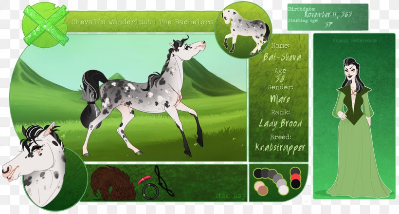 Horse Fauna Ecosystem Green, PNG, 1221x654px, Horse, Animal, Ecosystem, Fauna, Grass Download Free