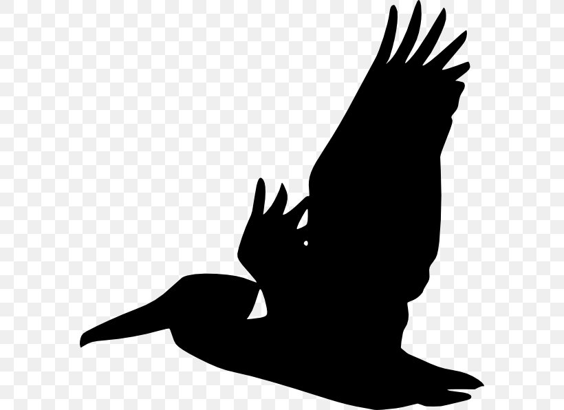 Silhouette Line Art Bird Clip Art, PNG, 588x596px, Silhouette, Beak, Bird, Bird Of Prey, Black And White Download Free
