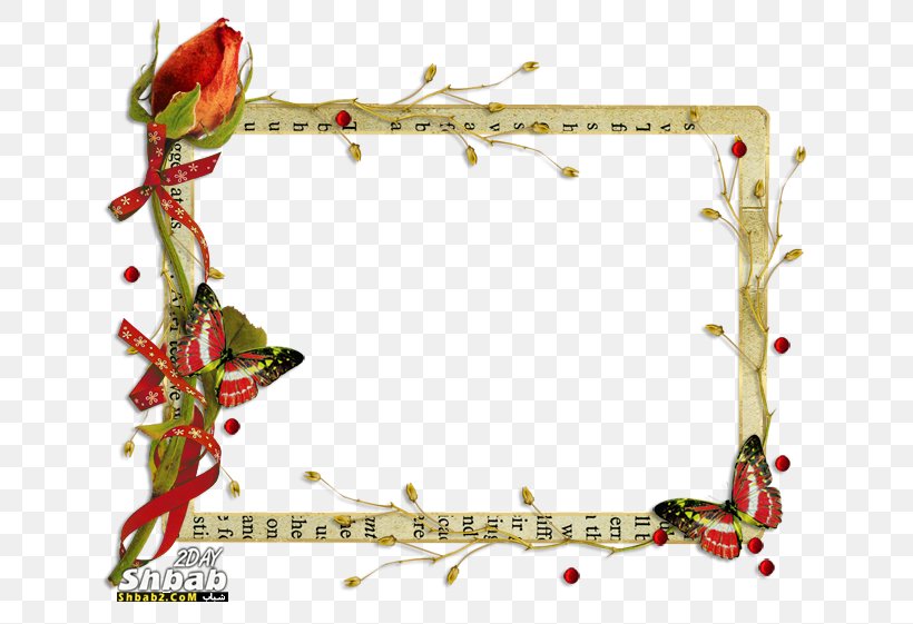 Picture Frames Butterfly Clip Art, PNG, 650x561px, Picture Frames, Border, Branch, Butterflies And Moths, Butterfly Download Free