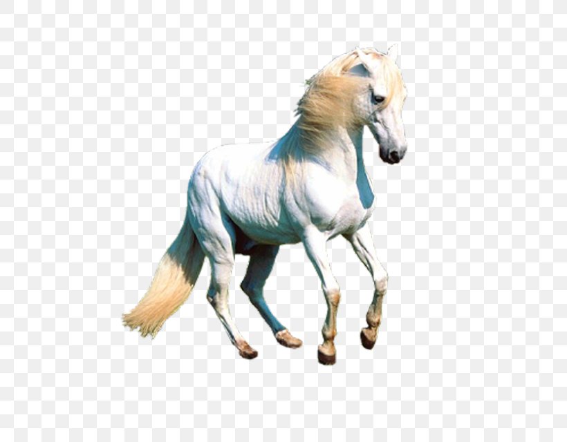 Unicorn Horse Pegasus Desktop Wallpaper, PNG, 640x640px, Unicorn, Animal Figure, Colt, Drawing, Foal Download Free