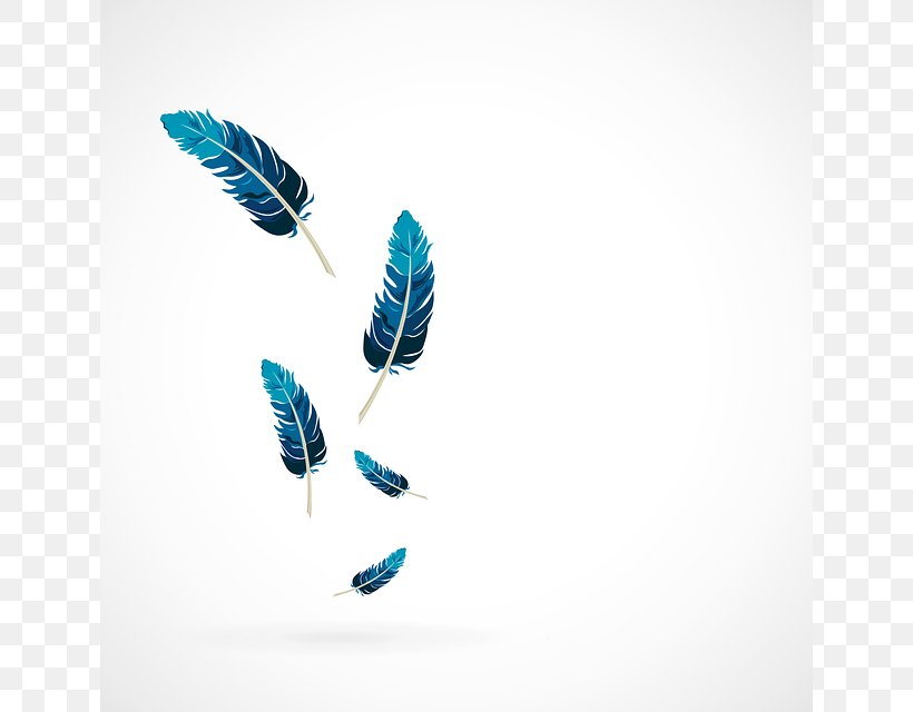 Bird Feather, PNG, 640x640px, Bird, Feather, Pixabay, Stockxchng Download Free