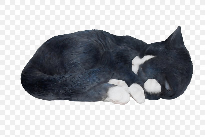 Cat Small To Medium-sized Cats Snout Tail Fur, PNG, 2000x1339px, Watercolor, Cat, Fur, Nap, Paint Download Free