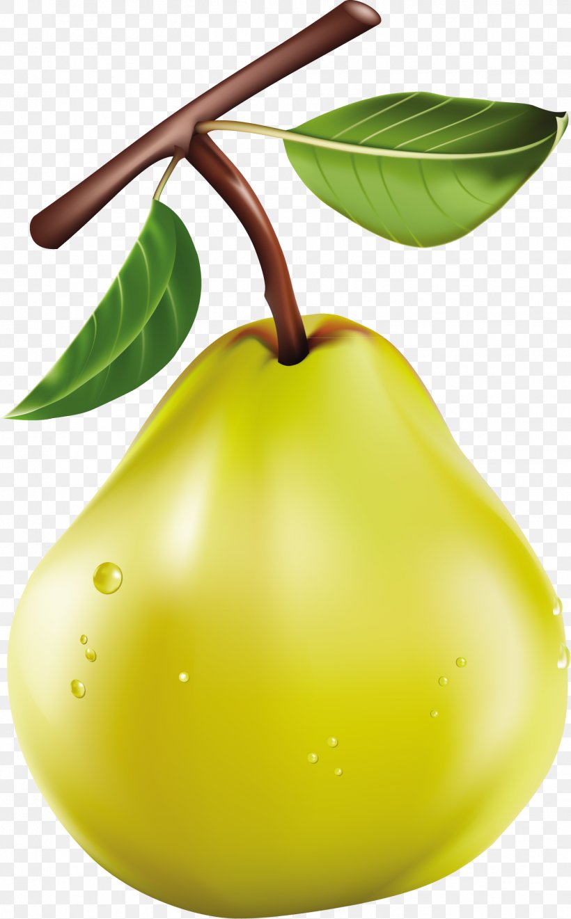 Clip Art Fruit Openclipart Image, PNG, 1417x2284px, Fruit, Apple, Food, Fruit Tree, Juice Download Free