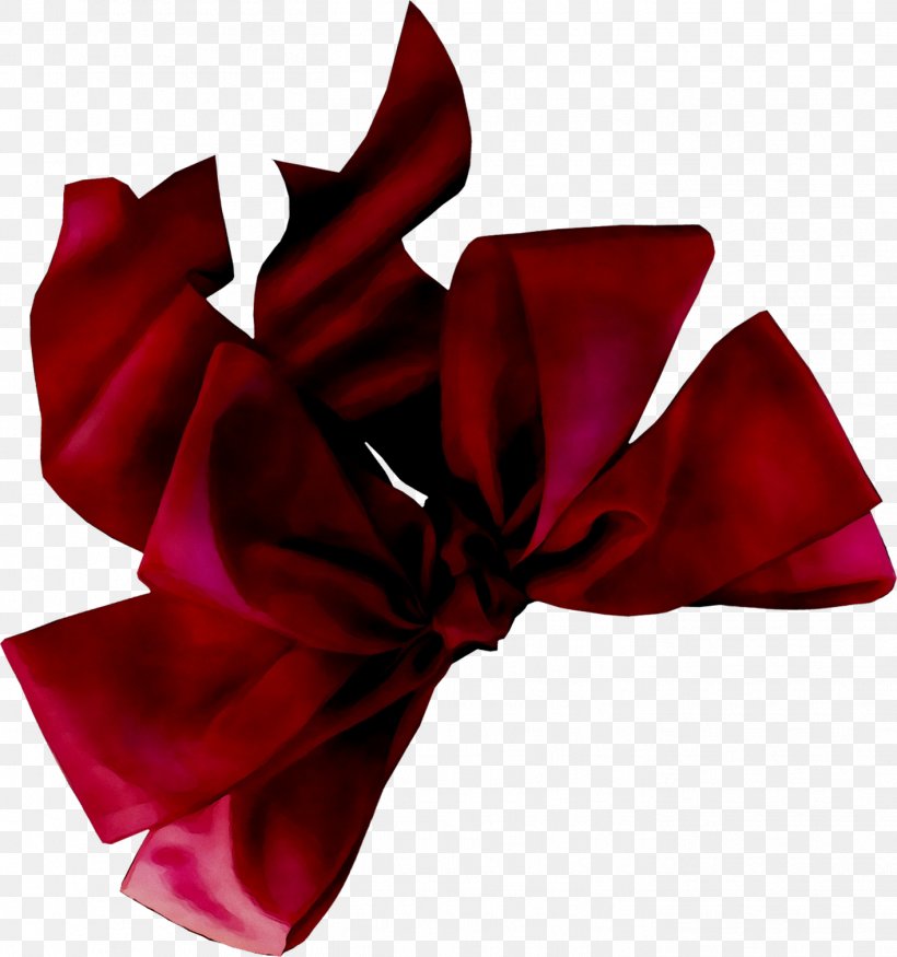 Garden Roses Velvet Ribbon Cut Flowers, PNG, 1414x1510px, Garden Roses, Carmine, Cut Flowers, Fashion Accessory, Flower Download Free