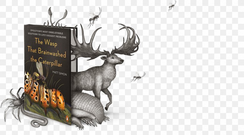 Reindeer Elk Antler Fauna, PNG, 1000x554px, Reindeer, Antler, Cartoon, Deer, Elk Download Free
