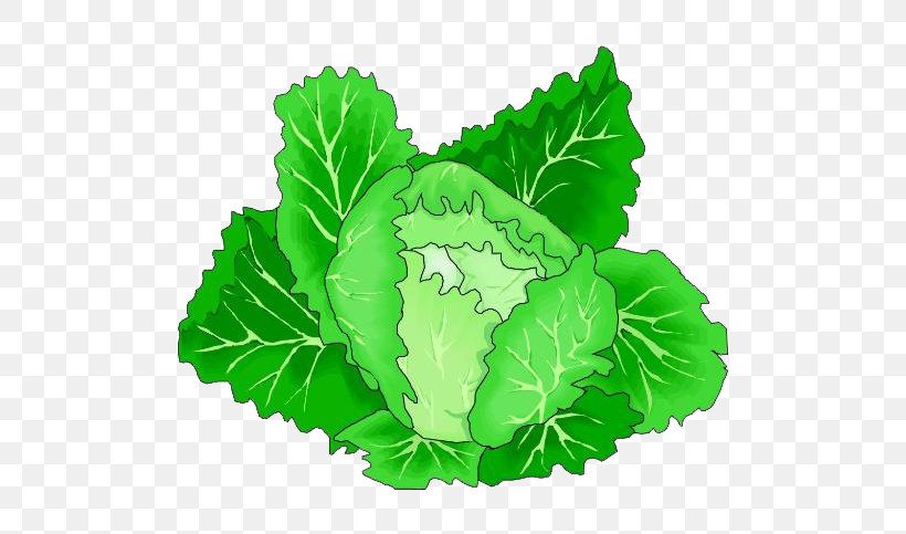 Leaf Vegetable Cabbage Clip Art, PNG, 546x483px, Leaf Vegetable, Cabbage, Cauliflower, Chinese Cabbage, Food Download Free