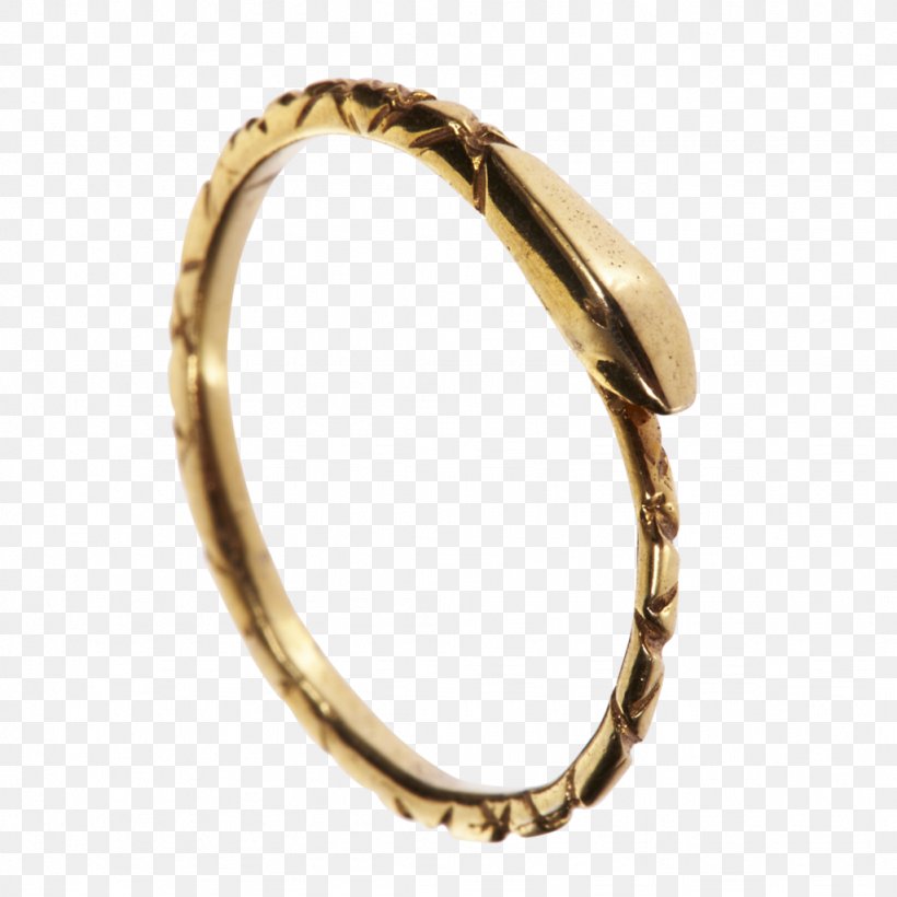 Ouroboros Snakes Wedding Ring Jewellery, PNG, 1024x1024px, Ouroboros, Bangle, Body Jewelry, Bracelet, Brass Download Free