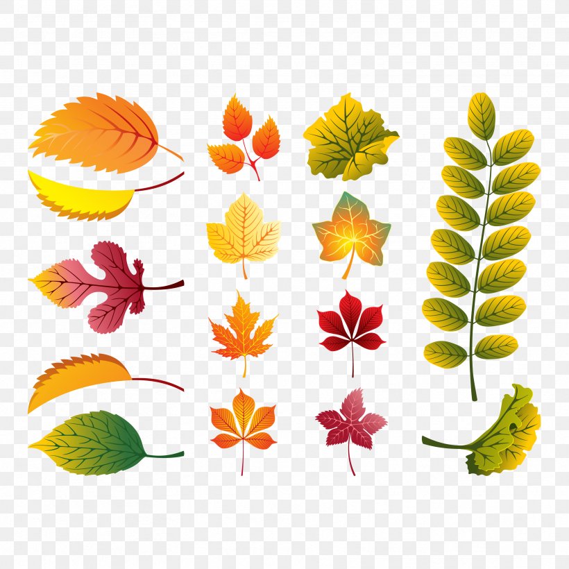 Autumn Leaf Color Euclidean Vector, PNG, 3333x3333px, Autumn, Autumn Leaf Color, Color, Deciduous, Flora Download Free