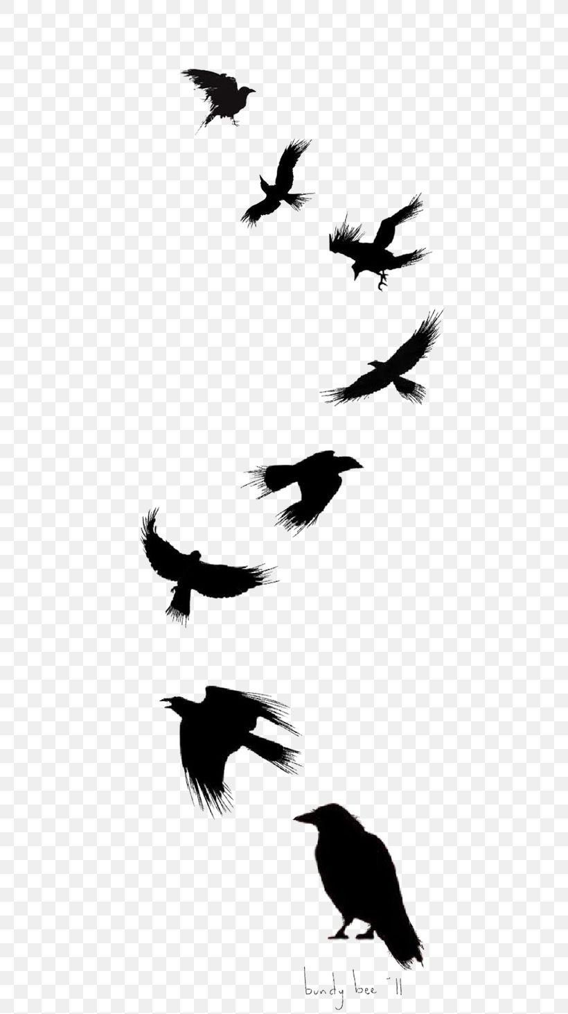 Common Raven Bird Tattoo Drawing Flight, PNG, 564x1462px, Common Raven, Animal Migration, Art, Beak, Bird Download Free
