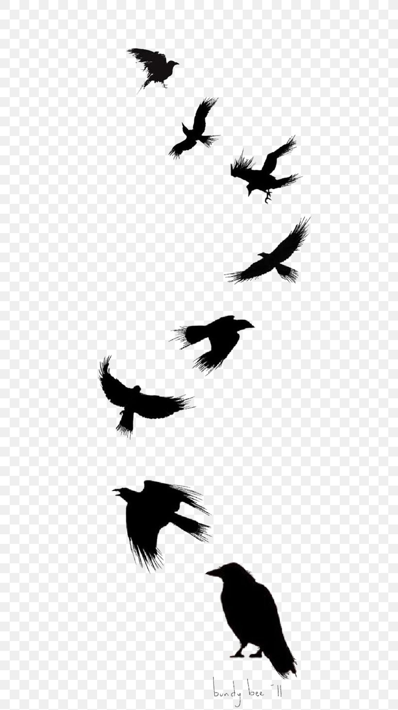 Bird Tattoo Raven Tattoo Artist Idea Blackandgray Crow Tattoo Ink  Inked transparent background PNG clipart  HiClipart