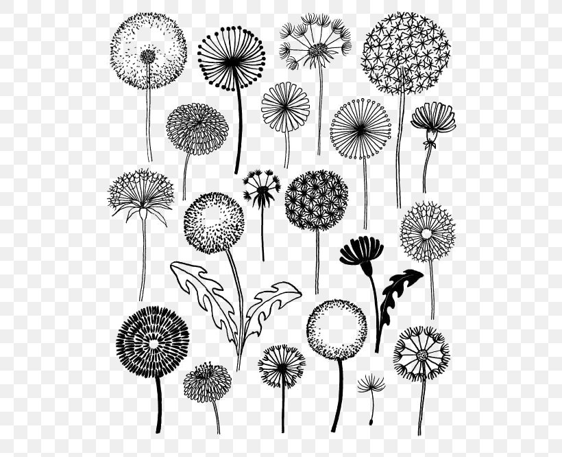 Dandelion 20 Ways To Draw A Tree And 44 Other Nifty Things From Nature: A Sketchbook For Artists, Designers, And Doodlers Drawing Pissenlit, PNG, 540x666px, Dandelion, Art, Black And White, Botanical Illustration, Craft Download Free