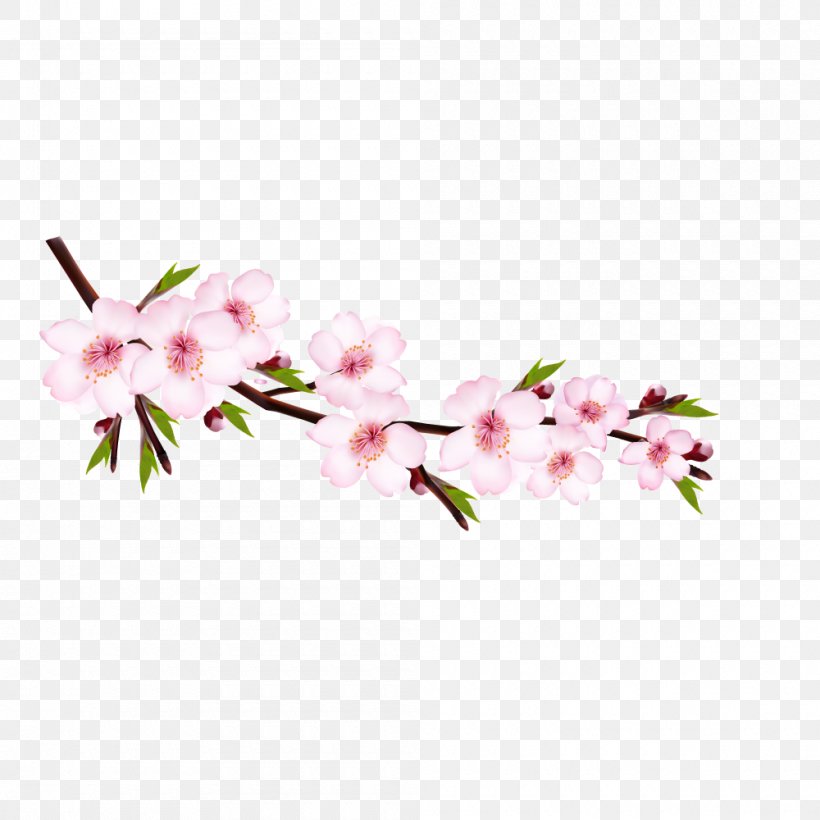 Vector Graphics Cherry Blossom Illustration Royalty-free Clip Art, PNG, 1000x1000px, Cherry Blossom, Blossom, Branch, Cut Flowers, Floral Design Download Free
