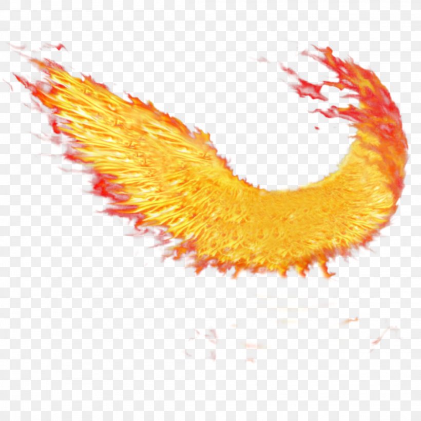 Wings Of Fire, PNG, 2289x2289px, Fire, Buffalo Wing, Dragon, Drawing, Fire Wings Download Free