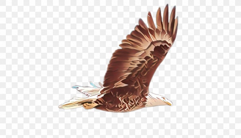 Bird Eagle Bird Of Prey Kite Hawk, PNG, 2000x1148px, Cartoon, Accipitridae, Bald Eagle, Bird, Bird Of Prey Download Free