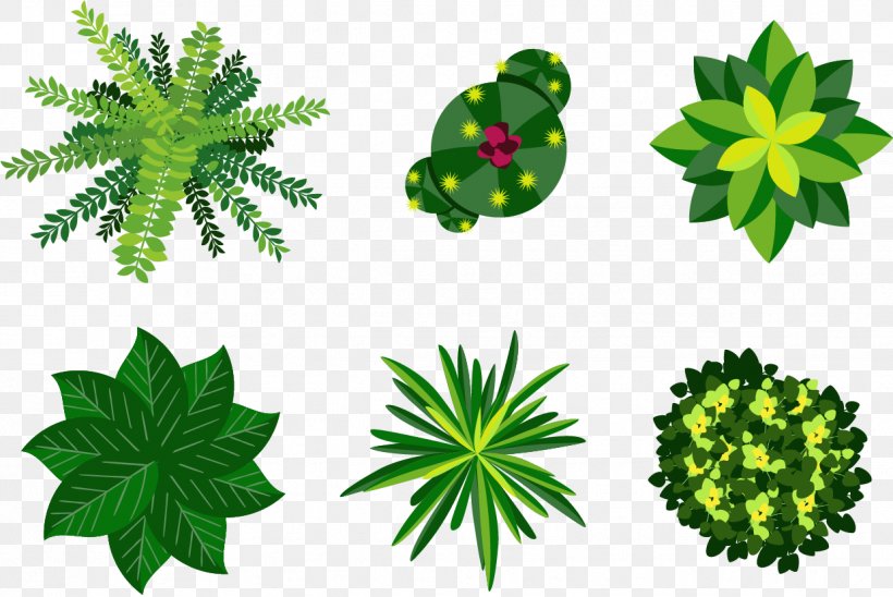 Plant Euclidean Vector Illustration, PNG, 1237x828px, Plant, Art, Drawing, Flower, Grass Download Free