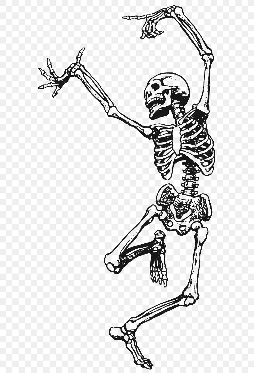 Skeleton Death Dance Art Drawing, PNG, 631x1200px, Skeleton, Area, Arm, Art, Artwork Download Free