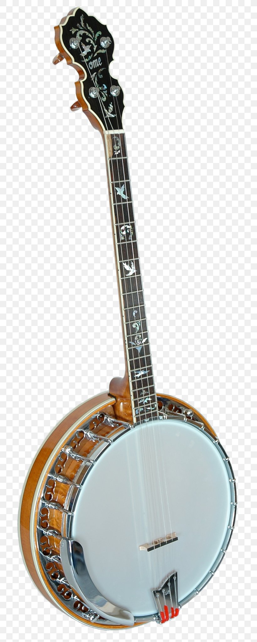 Banjo Guitar Banjo Uke Ukulele Acoustic Guitar, PNG, 748x2048px, Watercolor, Cartoon, Flower, Frame, Heart Download Free