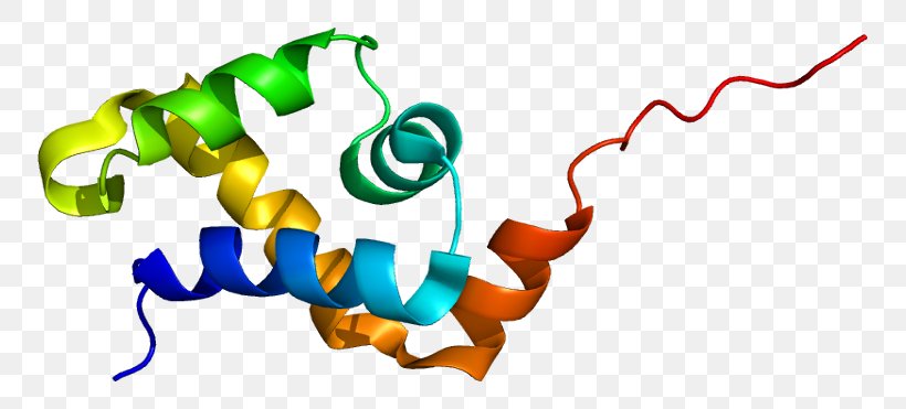 SATB1 Protein SMARCA5 Gene Homeobox, PNG, 801x371px, Protein, Area, Cdna Library, Chromatin, Gene Download Free