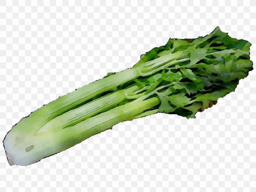 Broccoli Spring Greens Vegetarian Cuisine Rapini Komatsuna, PNG, 1156x867px, Broccoli, Celery, Celtuce, Chinese Broccoli, Chinese Cabbage Download Free