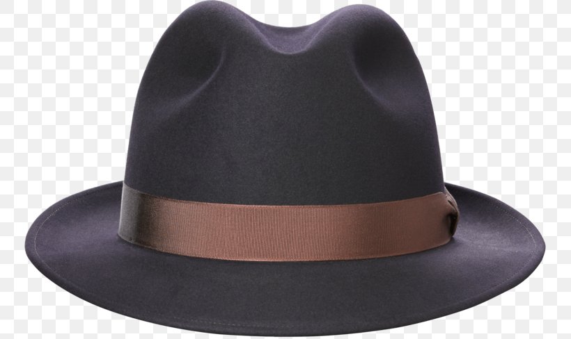 Fedora Trilby Hat Power Brakes Clothing, PNG, 750x488px, Fedora, Clothing, Fashion Accessory, Hat, Headgear Download Free