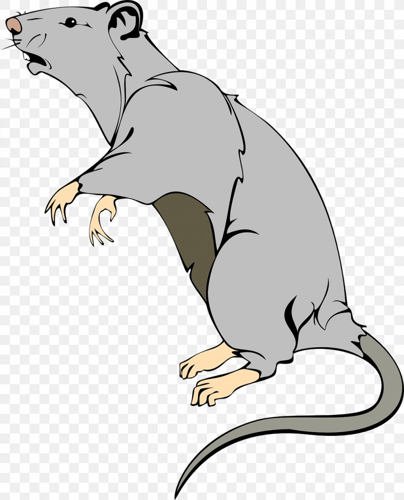 Brown Rat Mouse Laboratory Rat Clip Art, PNG, 1034x1280px, Brown Rat, Animation, Artwork, Beak, Beaver Download Free