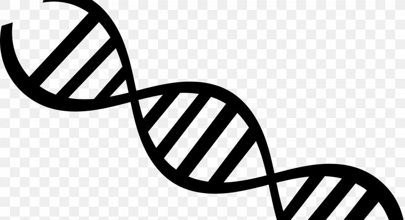 DNA Transparency Nucleic Acid Double Helix Clip Art, PNG, 3264x1781px, Dna, Biology, Blackandwhite, Dna Replication, Genetics Download Free