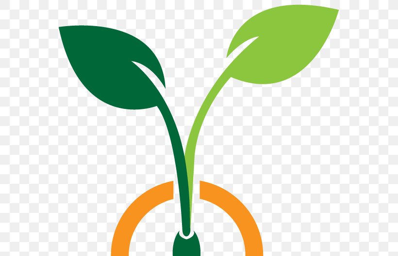 Leaf Plant Stem Line Clip Art, PNG, 577x529px, Leaf, Grass, Green, Logo, Organism Download Free