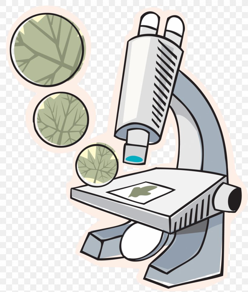 Microscope Slides Biology Desktop Wallpaper Clip Art, PNG, 970x1142px, Microscope, Biology, Cartoon, Cell, Chemistry Download Free