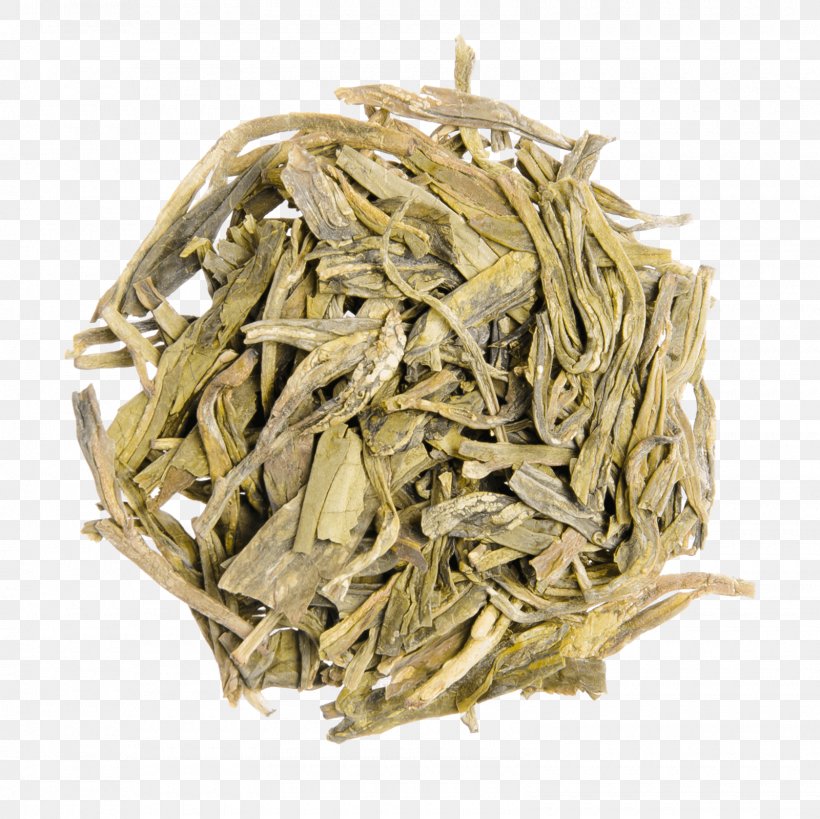 White Tea Tea Plant Nilgiri Tea Golden Monkey Tea, PNG, 1600x1600px, Tea, Bai Mudan, Baihao Yinzhen, Bancha, Biluochun Download Free