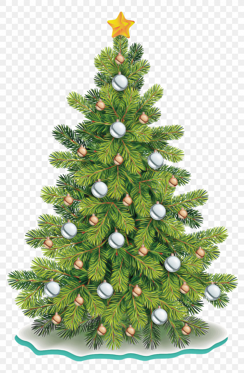 Christmas Tree, PNG, 1049x1600px, Christmas Tree, American Larch, Balsam Fir, Branch, Canadian Fir Download Free