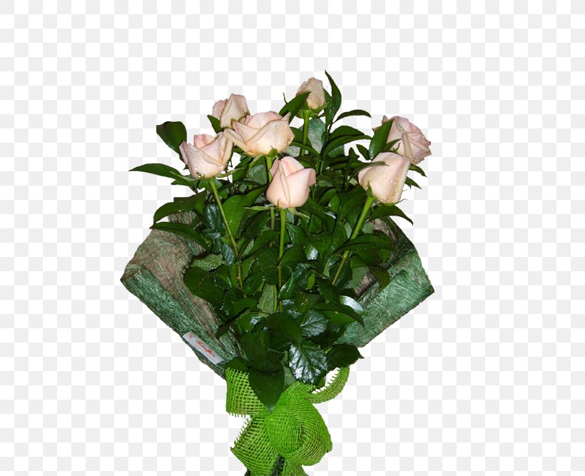 Garden Roses Floral Design Cut Flowers Flower Bouquet, PNG, 500x667px, Garden Roses, Cut Flowers, Floral Design, Floristry, Flower Download Free