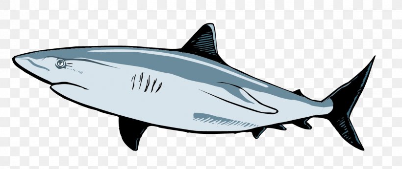 Requiem Shark Great White Shark Clip Art, PNG, 1400x592px, Shark, Animation, Automotive Design, Cartilaginous Fish, Dessin Animxe9 Download Free