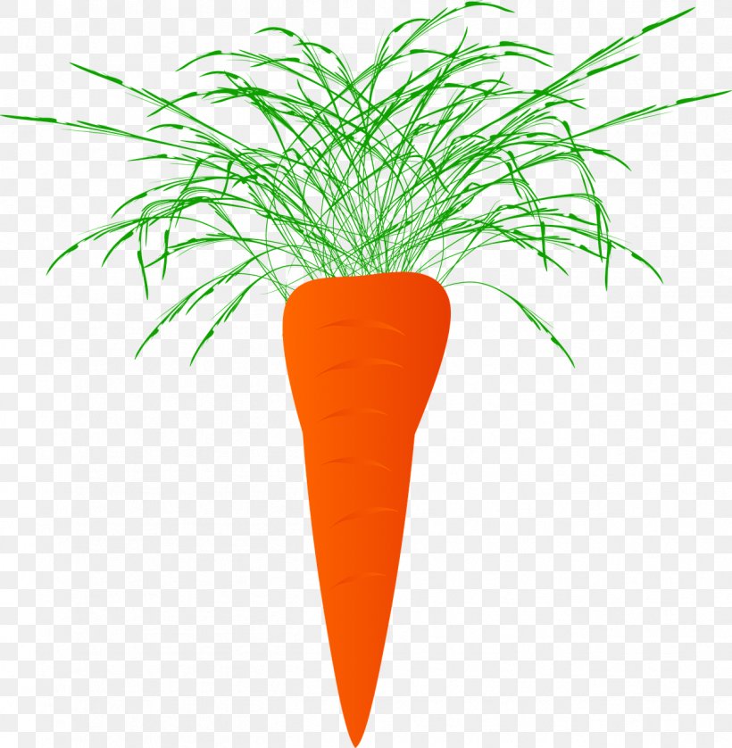 Carrot Juice Plant Vegetable Food, PNG, 1252x1280px, Carrot, Arecales, Cabbage, Carotene, Carrot Juice Download Free